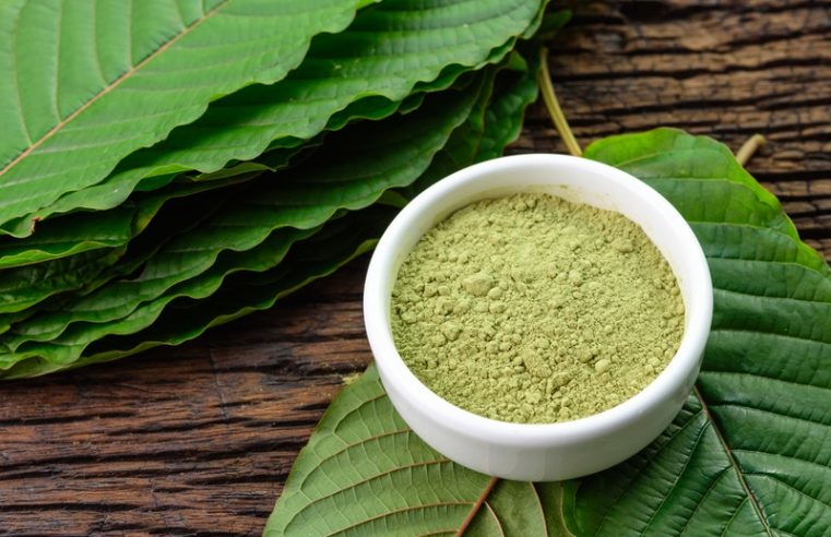 Best Ways to Use Kratom Powder in Your Daily Life