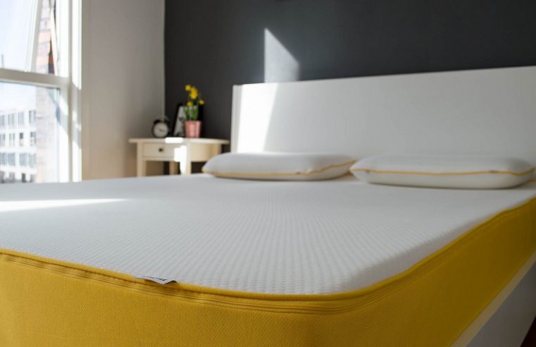 What to do about bed bugs in foam mattresses