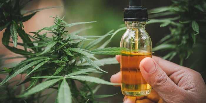 5 Things about CBD hemp oil you must know