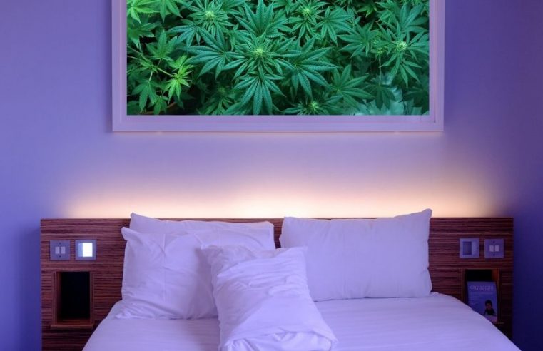 Cannabis and Marijuana Friendly Hotels in Trinidad Colorado