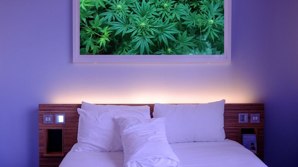 Cannabis and Marijuana Friendly Hotels in Trinidad Colorado
