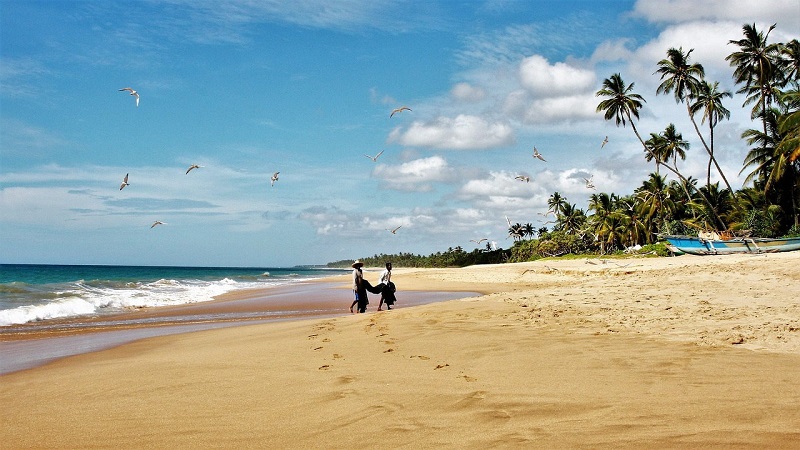 Planning for your first trip to Sri Lanka? Here are a few things to keep in mind.