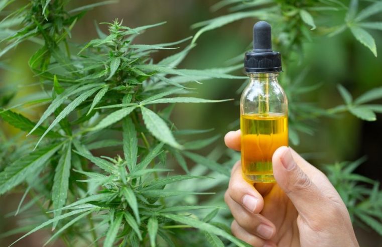High-Quality CBD Products for Everyday Relief