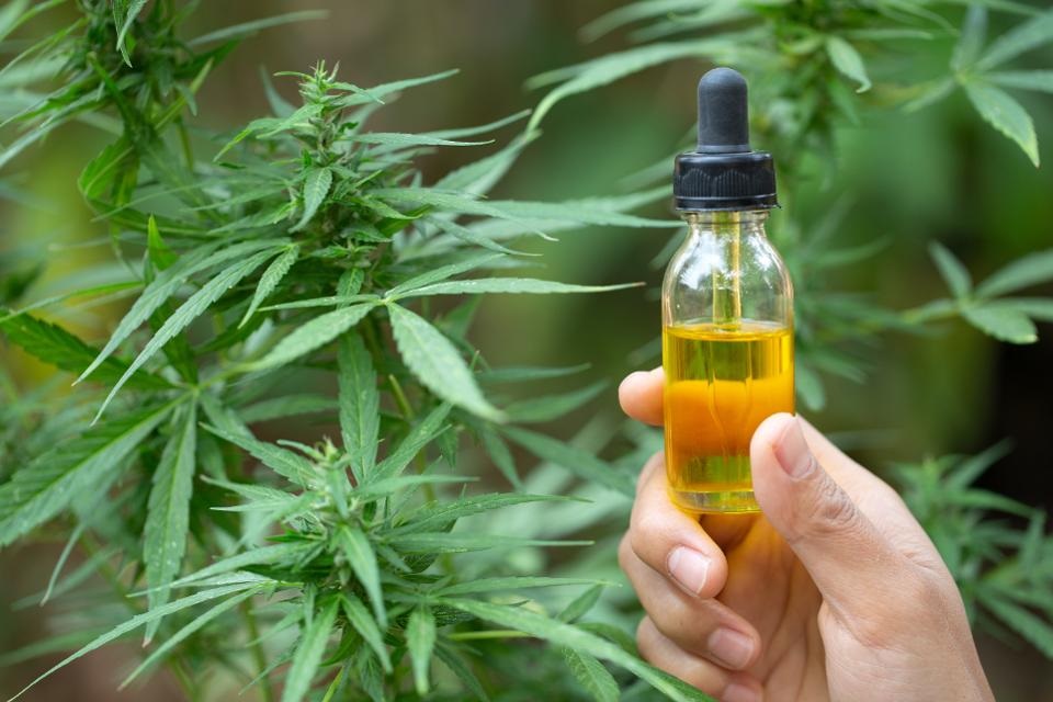 High-Quality CBD Products for Everyday Relief