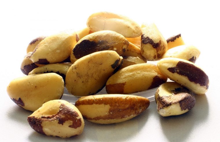 Brazil Nut – The Best Protein Shake