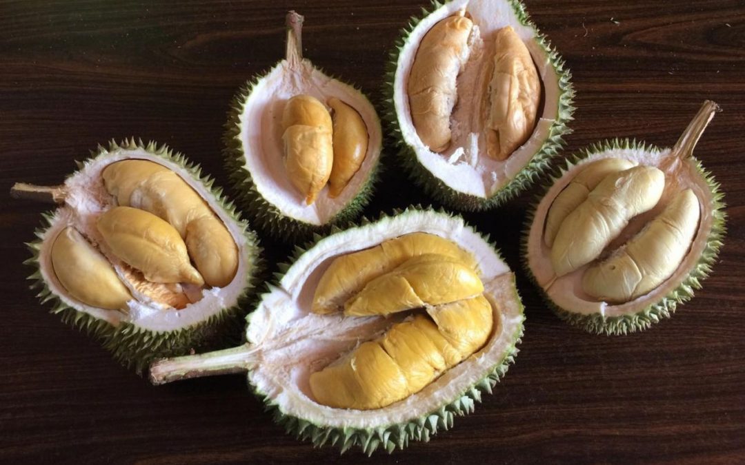 Types of Durian