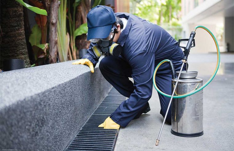 How to Maintain Pests Out of Your Manufacturing Facility