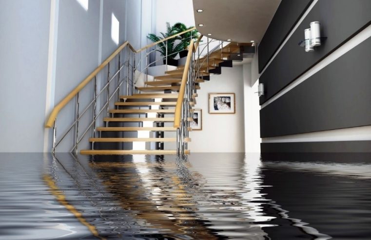 What Does a Water Damage Reconstruction Company Do?