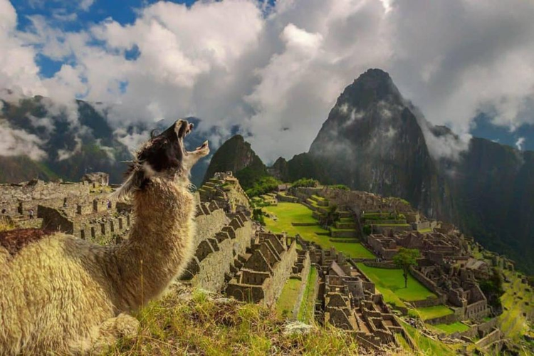5 things to do in Peru in summer 2021