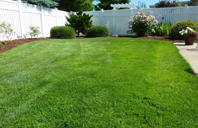 Why Organic Lawn Care Services Are Better For Your Lawn, Children, Pets, Wallet, and the Environment