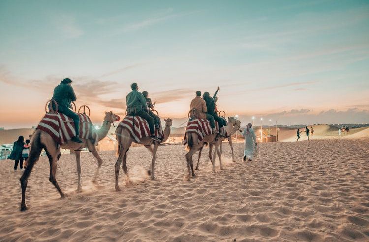 Why A Desert Safari Tour Should Be On Your Dubai Bucket List?