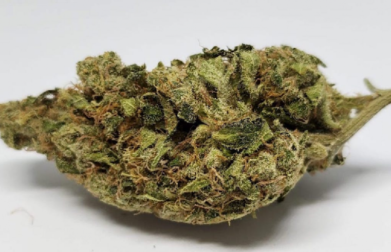 Medical Marijuana Dispensaries – Few Things To Know