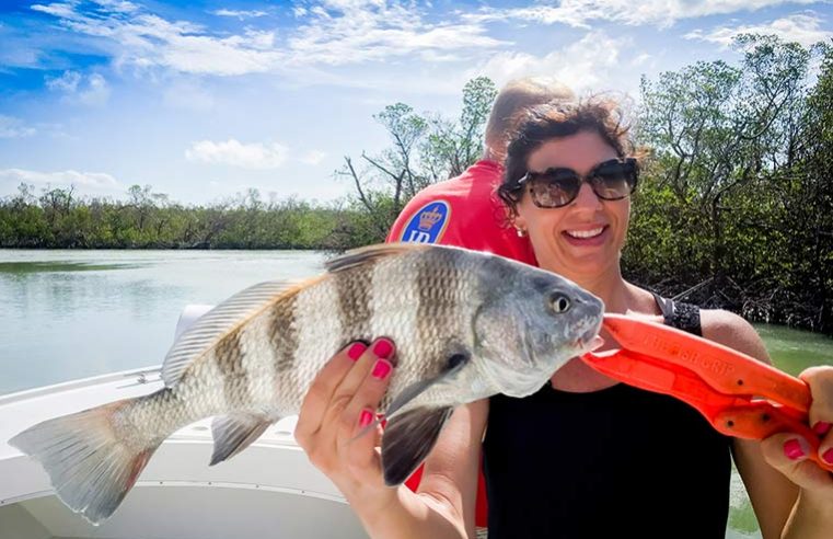 Marco Island Backwater Fishing Charters: The Only Place To Get Expertise In Fishing!