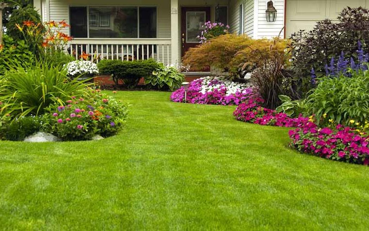 3 Lawn Care Tips for Your Yard