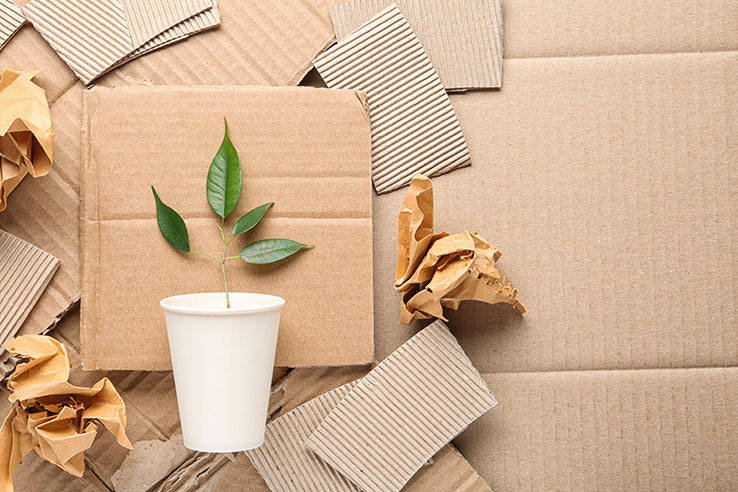 6 Importance Of Eco-Friendly Packaging