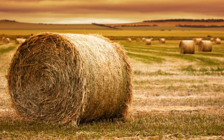 Different Shapes and Sizes of Hay Bales