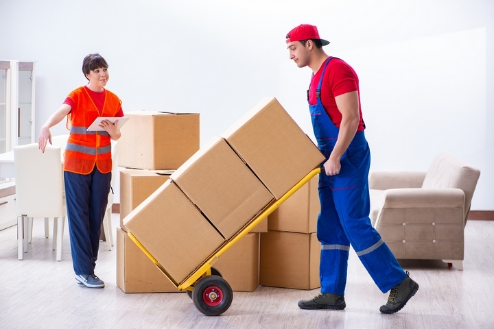 Key Qualities that Every Professional Mover Boasts