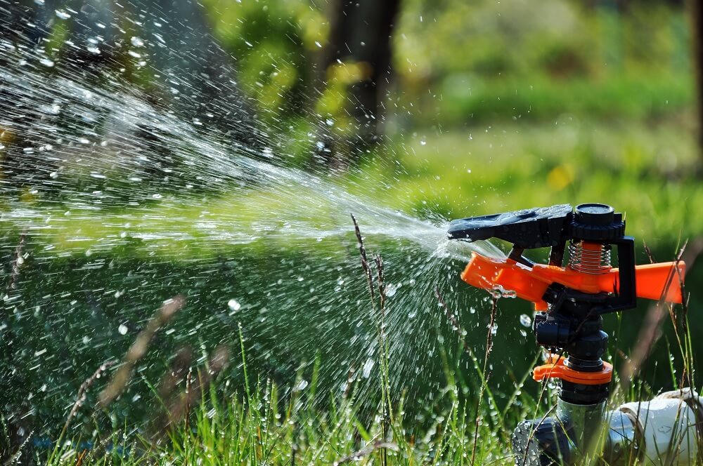 Sprinkler Systems services