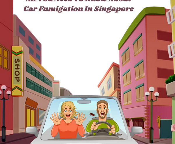    The Beginner’s Guide To Car Fumigation In Singapore
