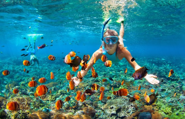 Let’s go snorkelling – a beginner’s guide