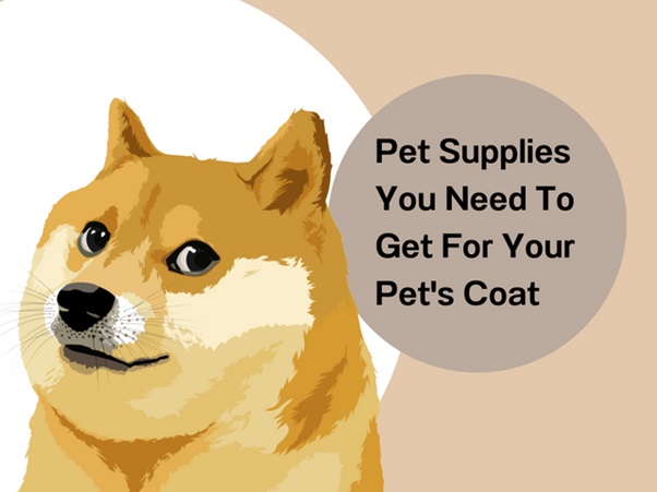    6 Pet Products You Should Get From Wholesale Pet Supplies Distributors In Singapore   