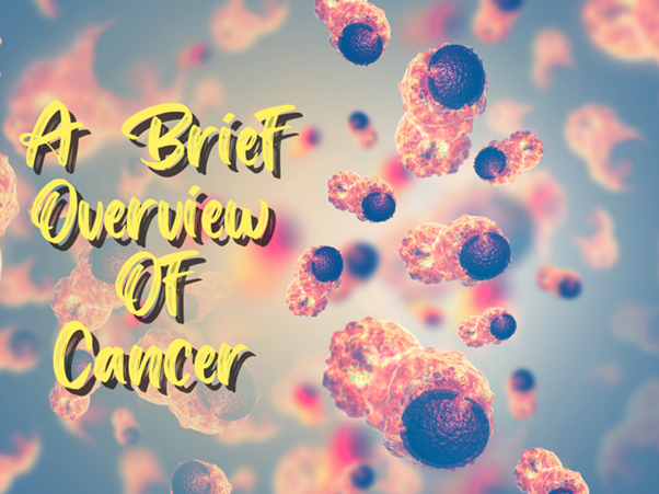 Cancer Treatment 101 Fighting & Preventing Cancer With Superfoods