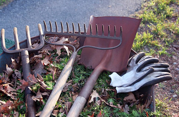 Reasons Why You Should Hire Garden Cleaning And Maintenance Services