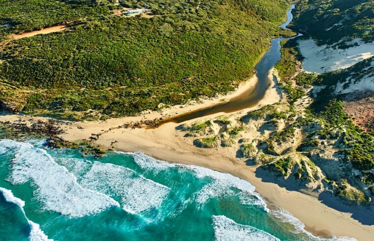 What Is the Best Margaret River Tour From Perth?