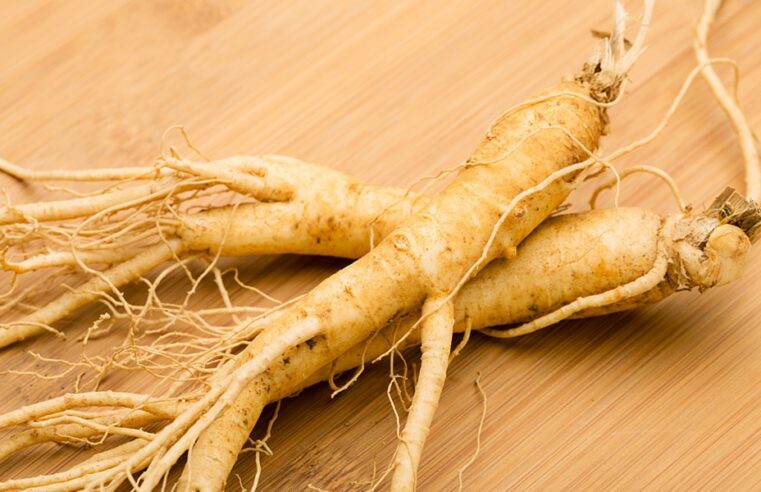 Why Ginseng Root Should be a Part of Your Wellness Routine