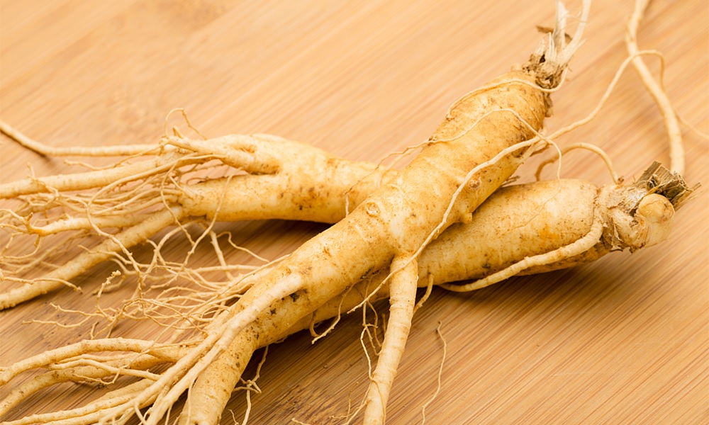 Why Ginseng Root Should be a Part of Your Wellness Routine