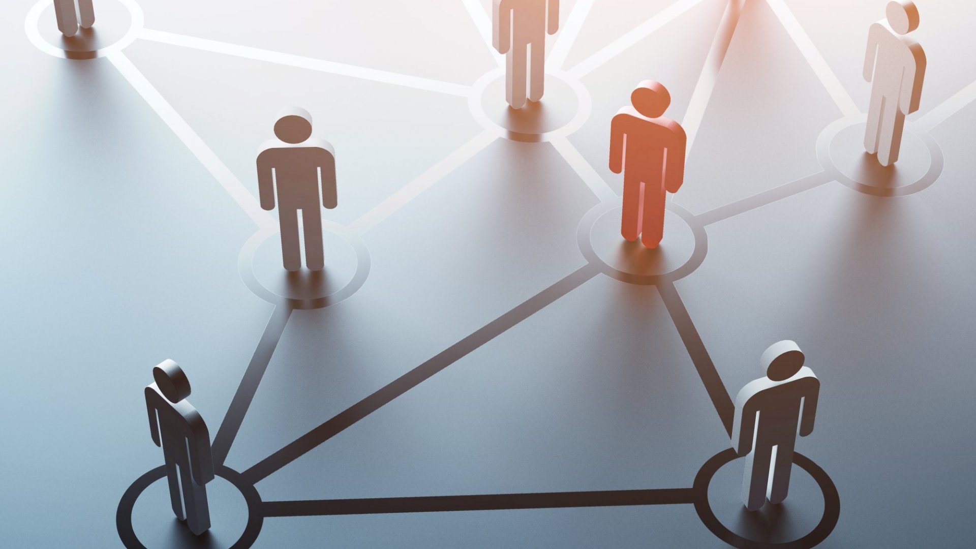 Unraveling the Path to Owning a Successful Networking Business