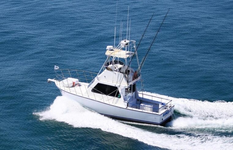 Tips For Enthusiasts Before Going To Fishing Charters In Florida