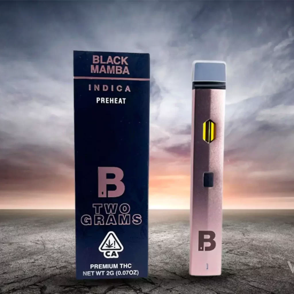 Introducing Blinkers 2G Disposable: Elevate Your Vaping Experience
