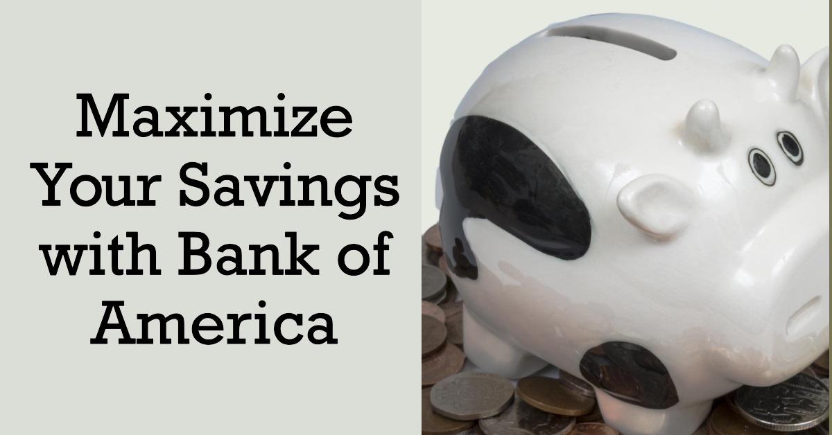 Bank of America Savings Account Interest Rate