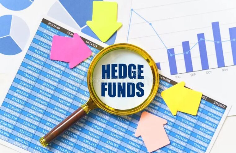 Unveiling the World of Hedge Funds