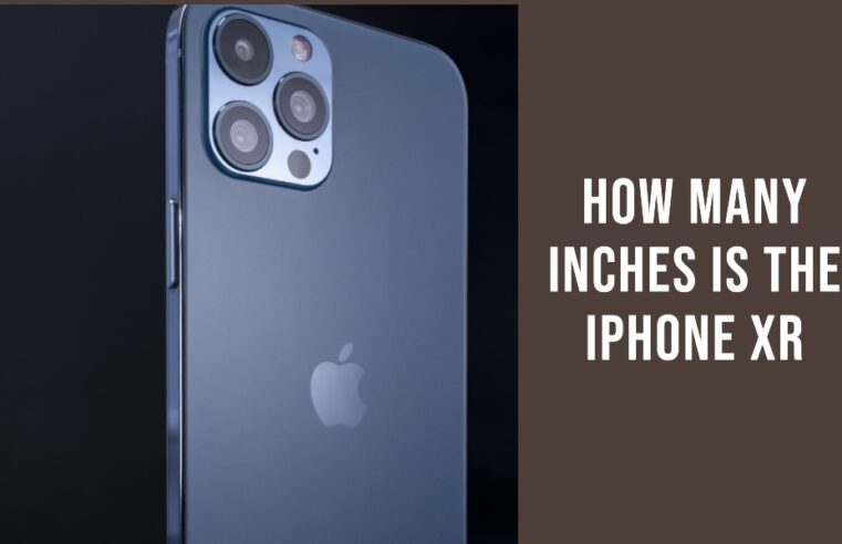 How Many Inches is the iPhone XR