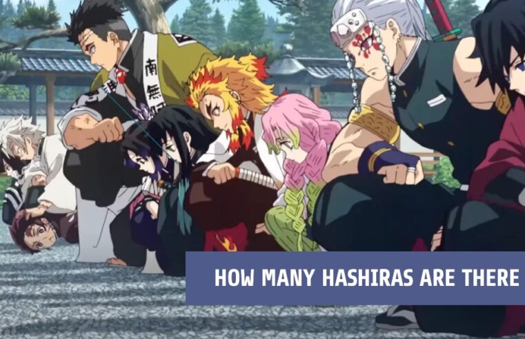 How Many Hashiras Are There
