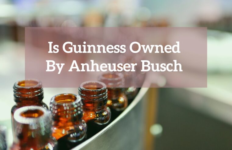 is guinness owned by anheuser busch