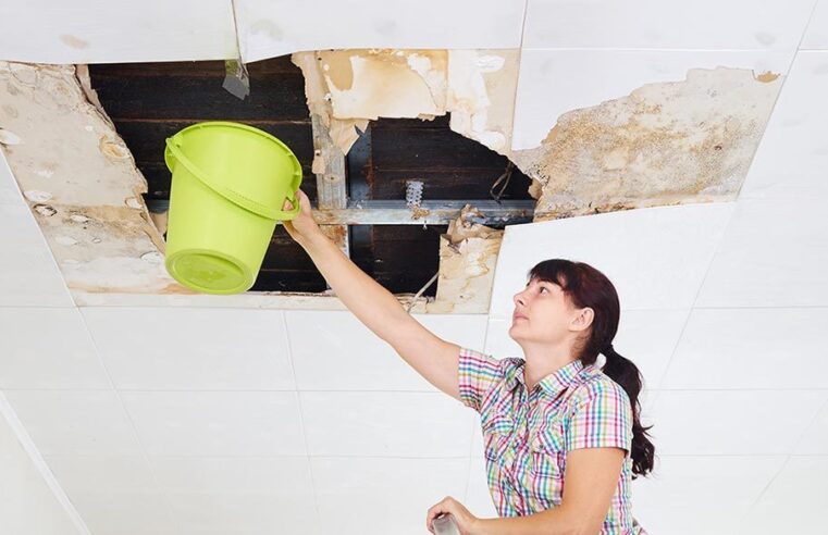 Unveiling The Vital Role Of Water Damage Restoration Services